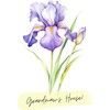 grandmawshouse